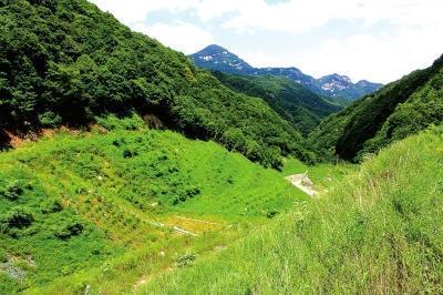 中國(guó)生態(tài)修復(fù)典型案例 河南小秦嶺國(guó)家級(jí)自然保護(hù)區(qū)礦山環(huán)境生態(tài)修復(fù)治理